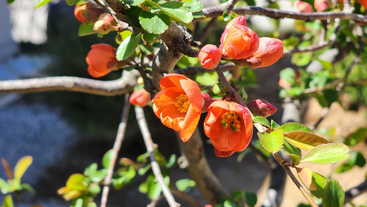 🎗🐬淵畵公🐬🎗 tweet media