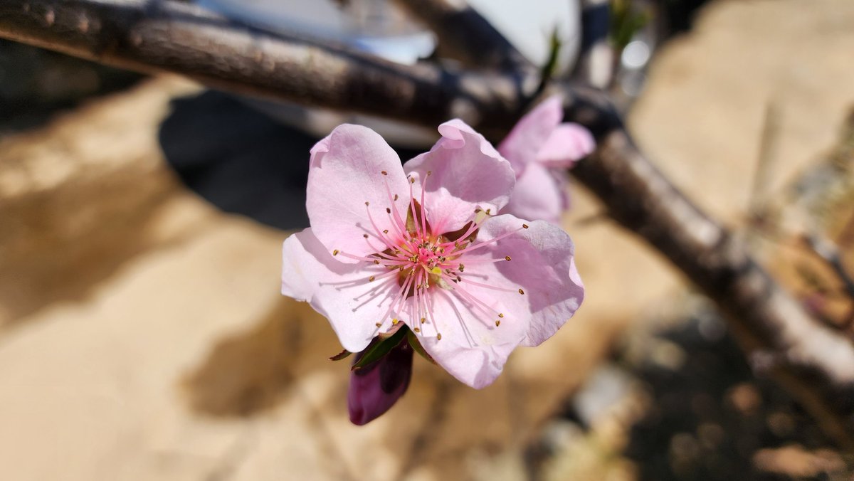 🎗🐬淵畵公🐬🎗 tweet media