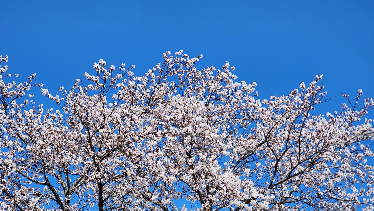 🎗🐬淵畵公🐬🎗 tweet media