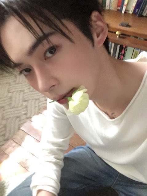 marshmelloji tweet media