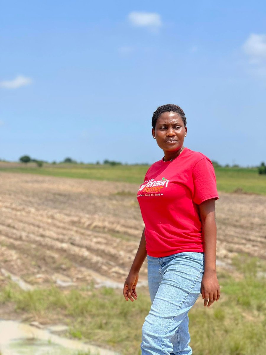 The Ghanaian Farmer tweet media