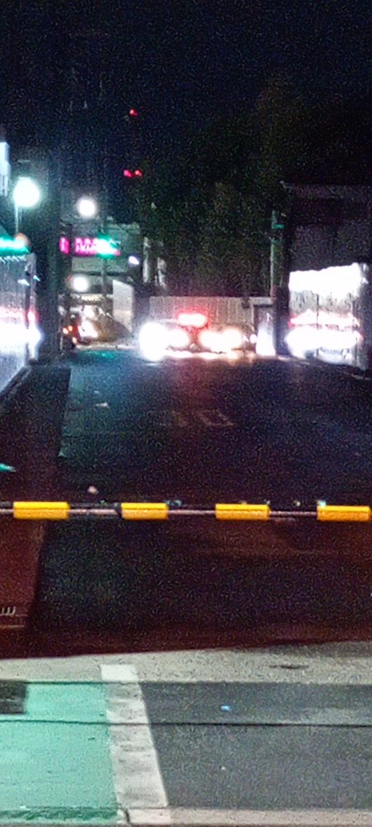 春風空弁当 tweet media