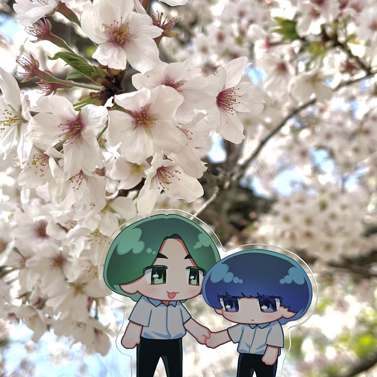 🌸見たよ