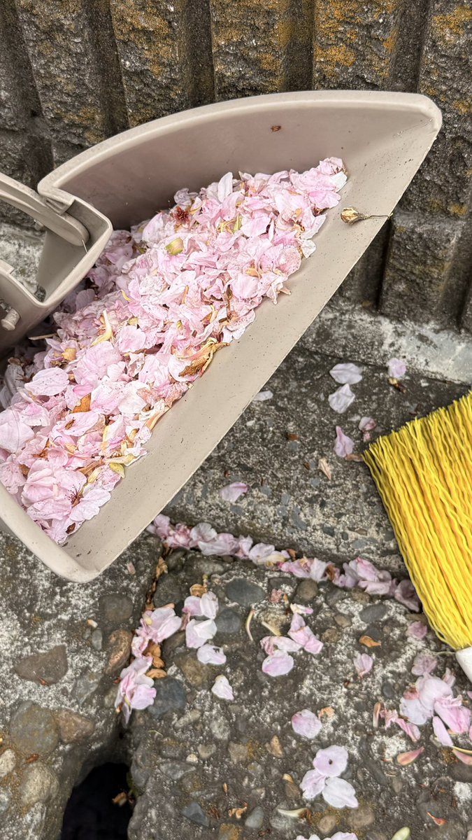 りきやん🐦 tweet media