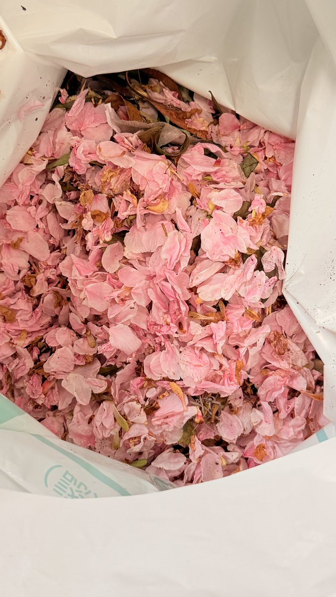 りきやん🐦 tweet media