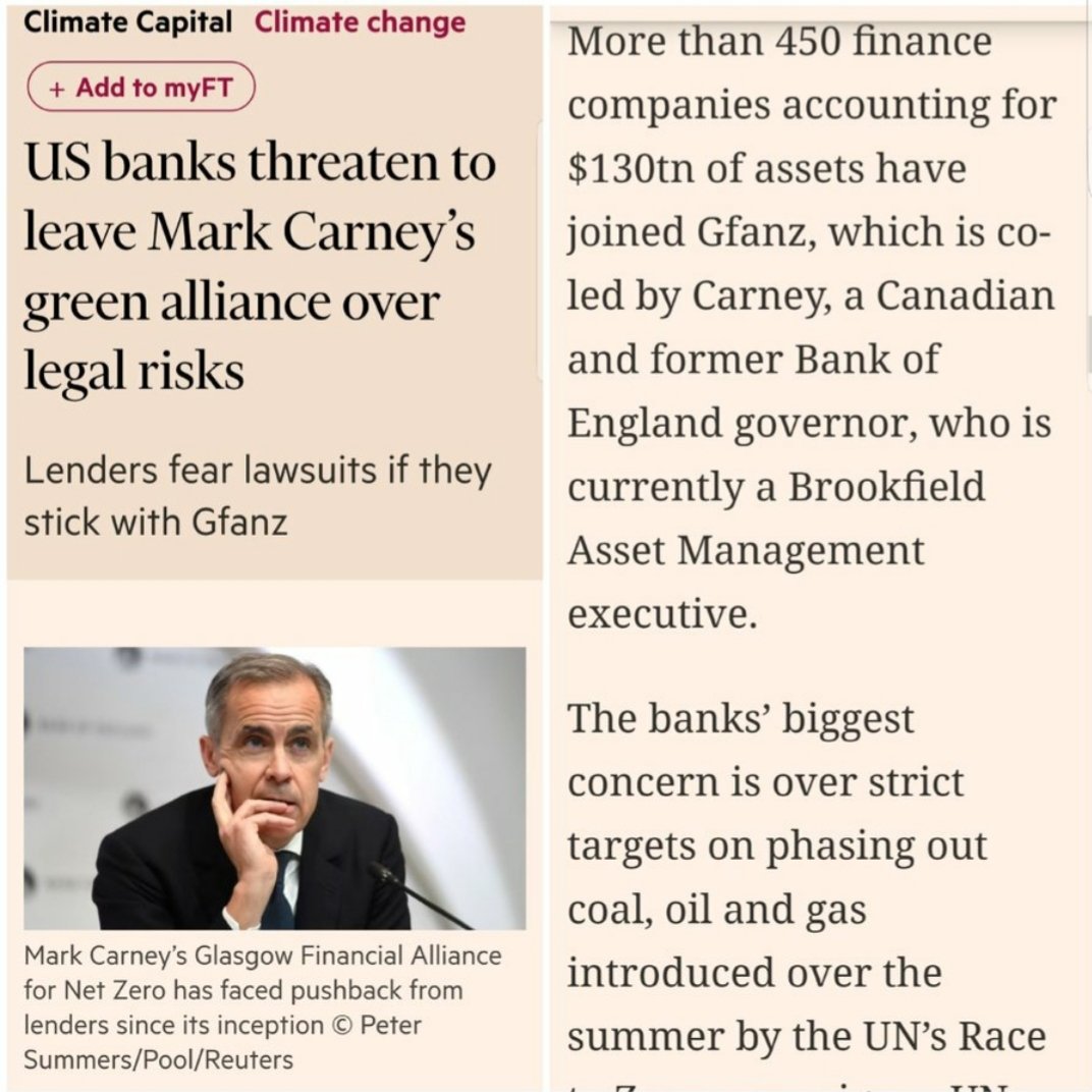 Found_Alive tweet media