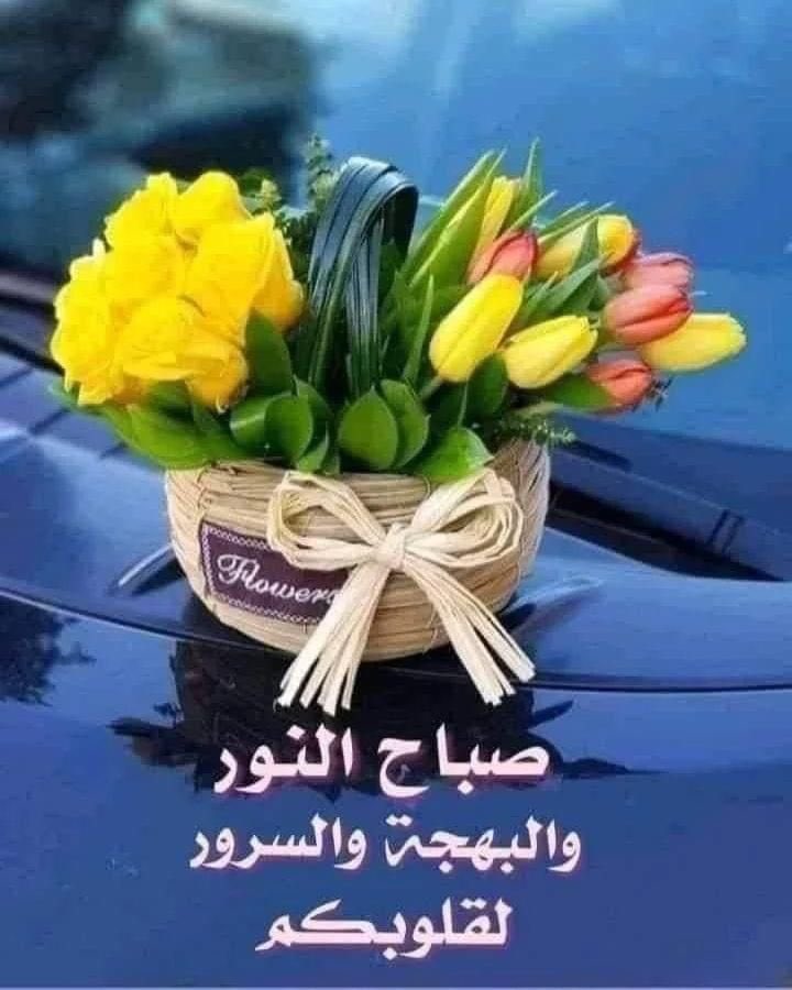 شمس الوطن " بغلفيه" tweet media