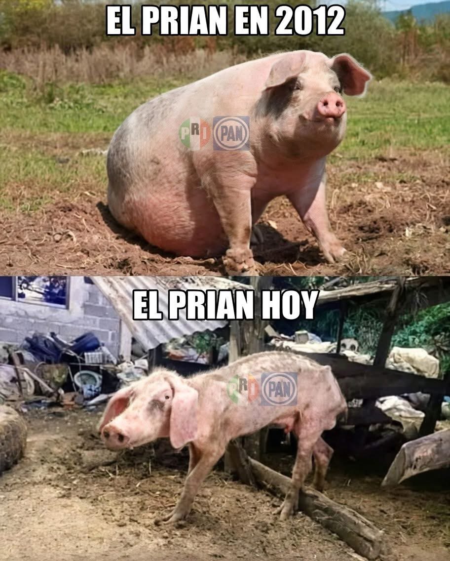 ©️*MOXXA *®️🇲🇽……🤓D’ L’ ✝️🤪 tweet media