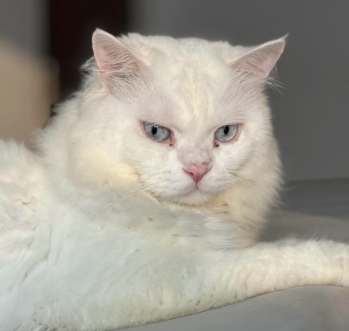 Anu⚡️☕️ tweet media