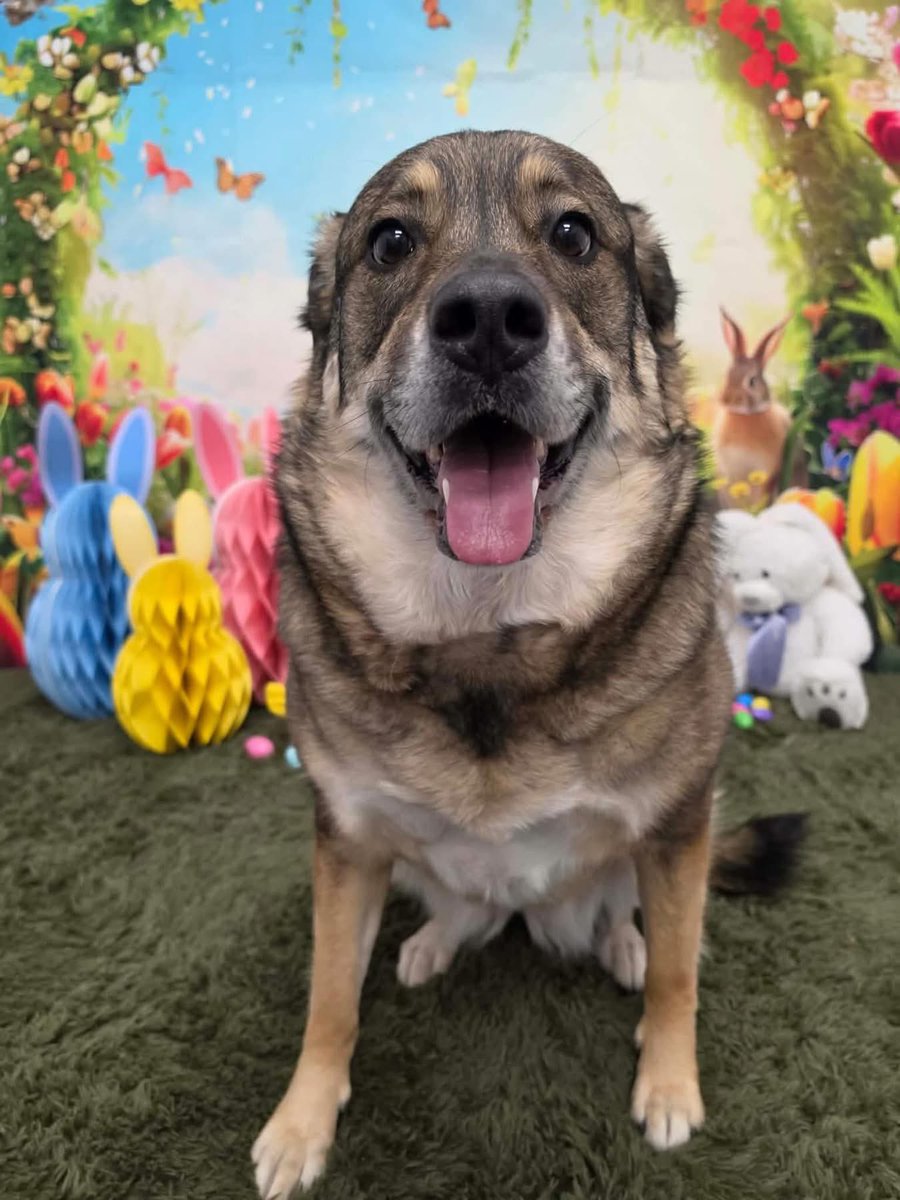 Jade 🐶 & Sheri (Mom) tweet media