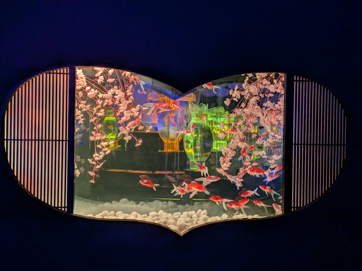 ハチづき tweet media