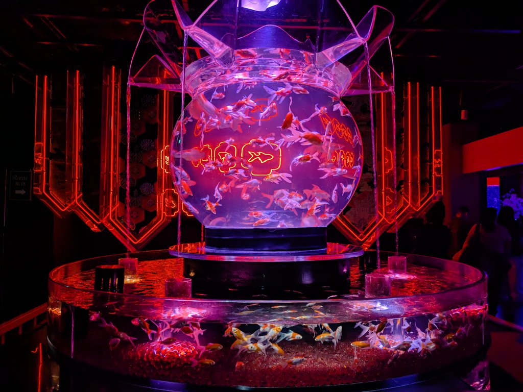 ハチづき tweet media