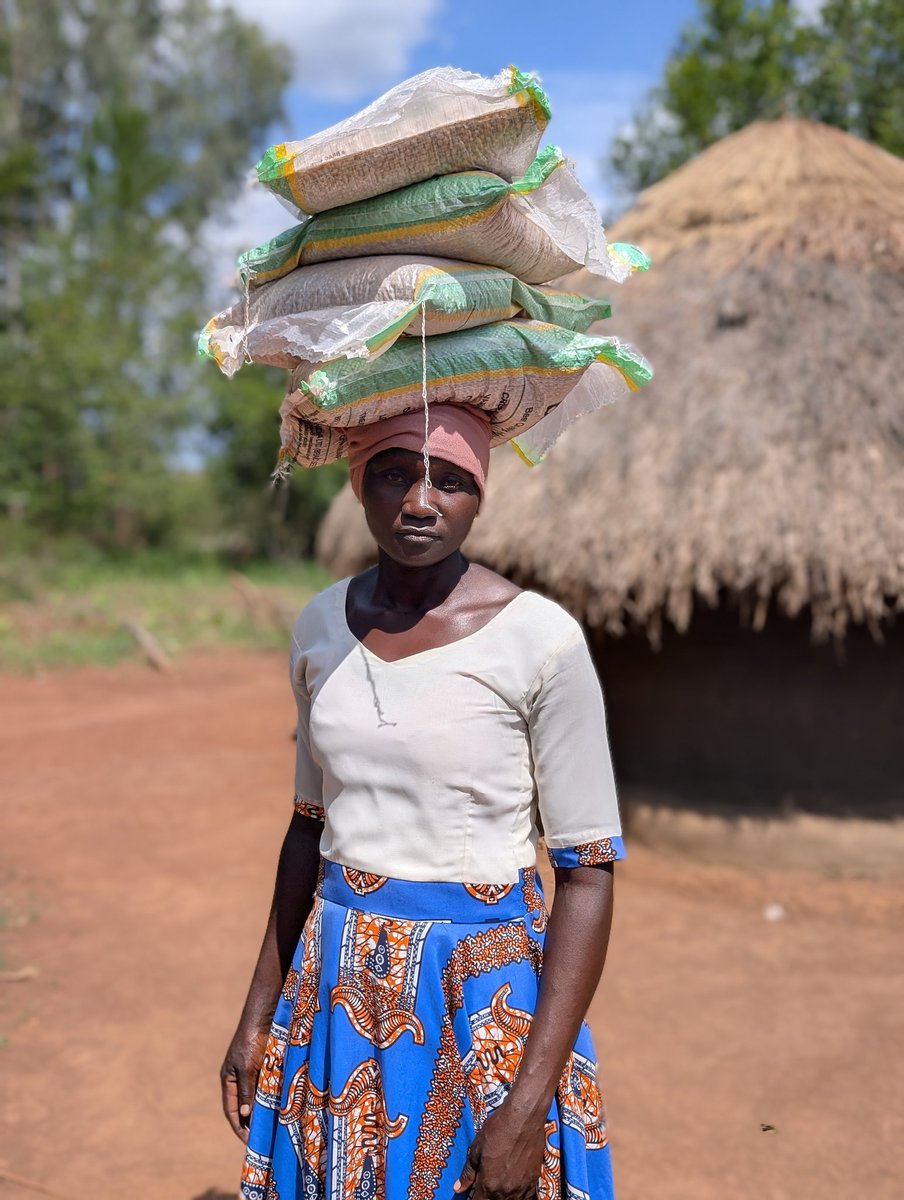 cciug's tweet photo. The atmosphere was filled with gratitude as families left ready to transform their fields. A massive thank you to #Suyana Foundation and @cciug for their commitment to strengthening agriculture in Northern Uganda. https://t.co/nkfXmg4gt0