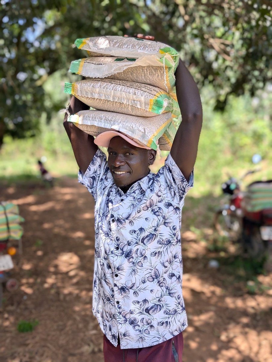 cciug's tweet photo. The atmosphere was filled with gratitude as families left ready to transform their fields. A massive thank you to #Suyana Foundation and @cciug for their commitment to strengthening agriculture in Northern Uganda. https://t.co/nkfXmg4gt0