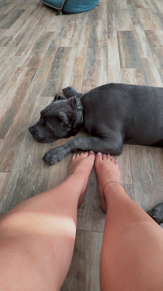 VaneSoles tweet media