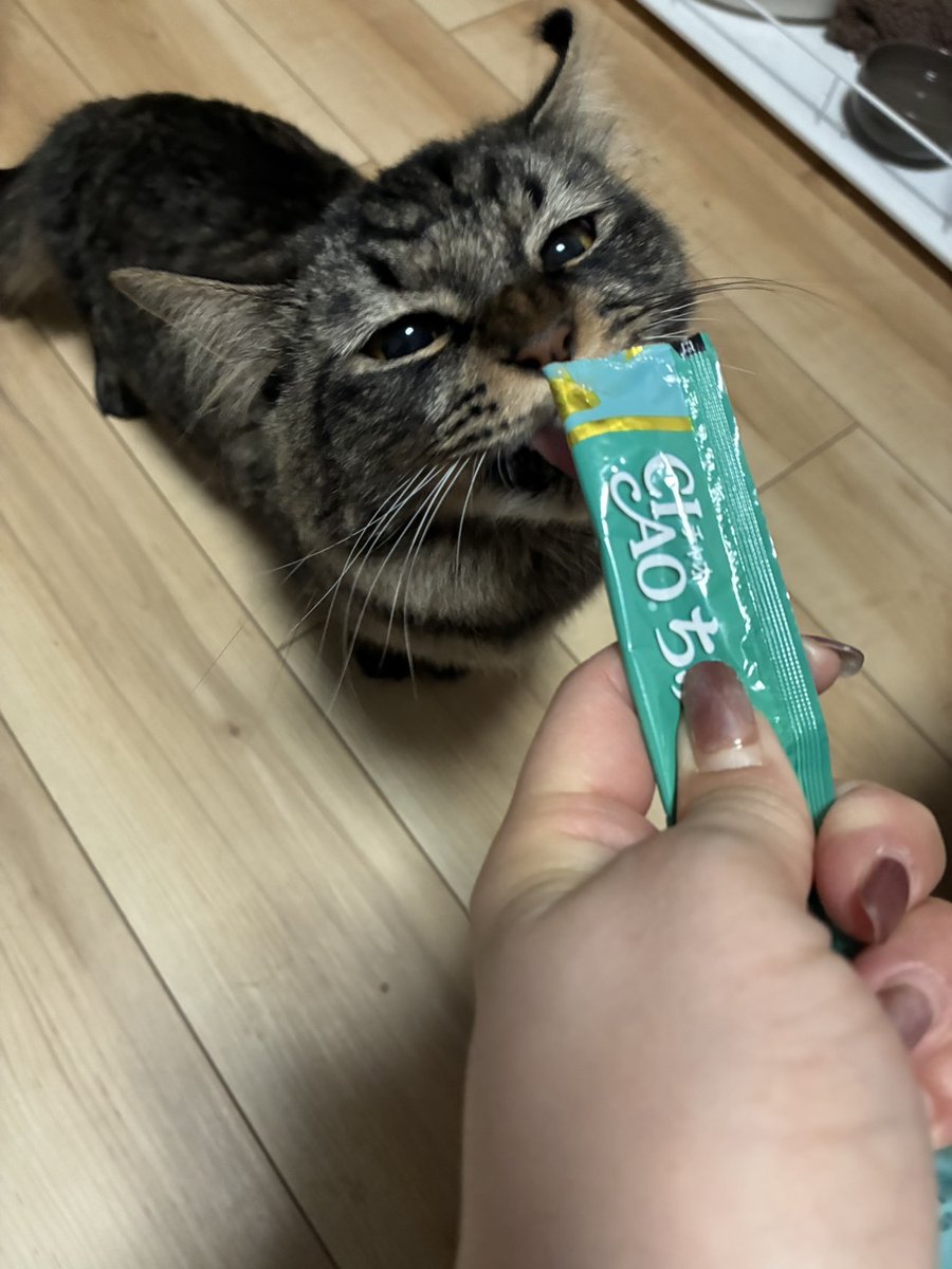 エドガー tweet media