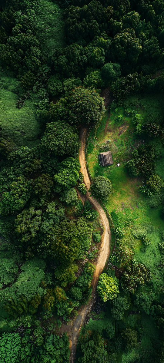 Ghostfeed001's tweet image. Amazing 4k wallpapers