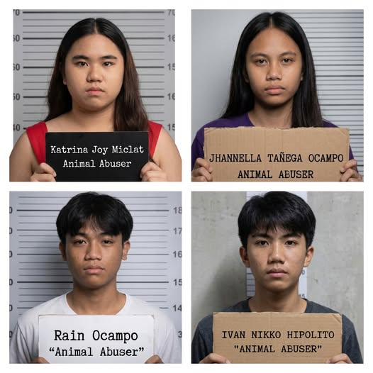 𝓥𝓪𝓷𝓲𝓵𝓵𝓪 𝓥𝓪𝓶𝓹𝓲𝓻𝓮 tweet media