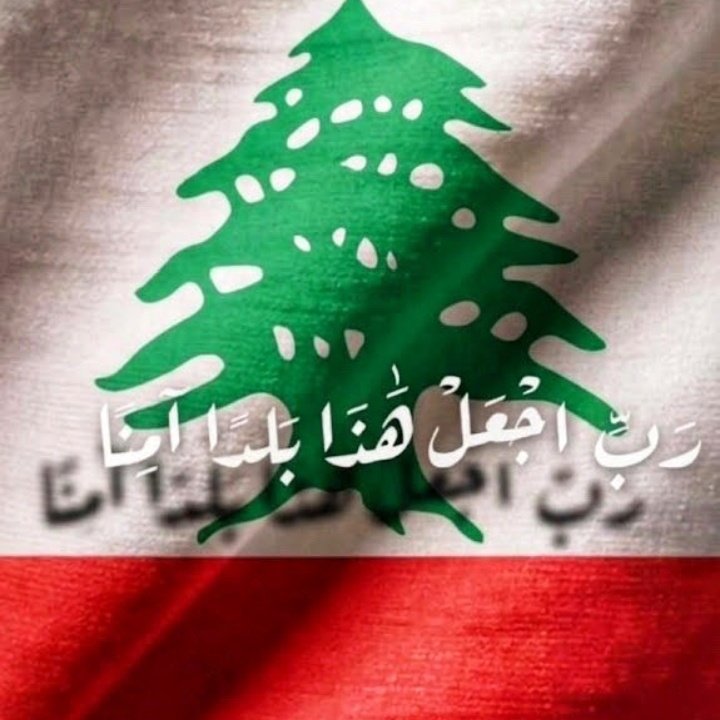 Tima Sabbagh ❤🇱🇧🌲 tweet media