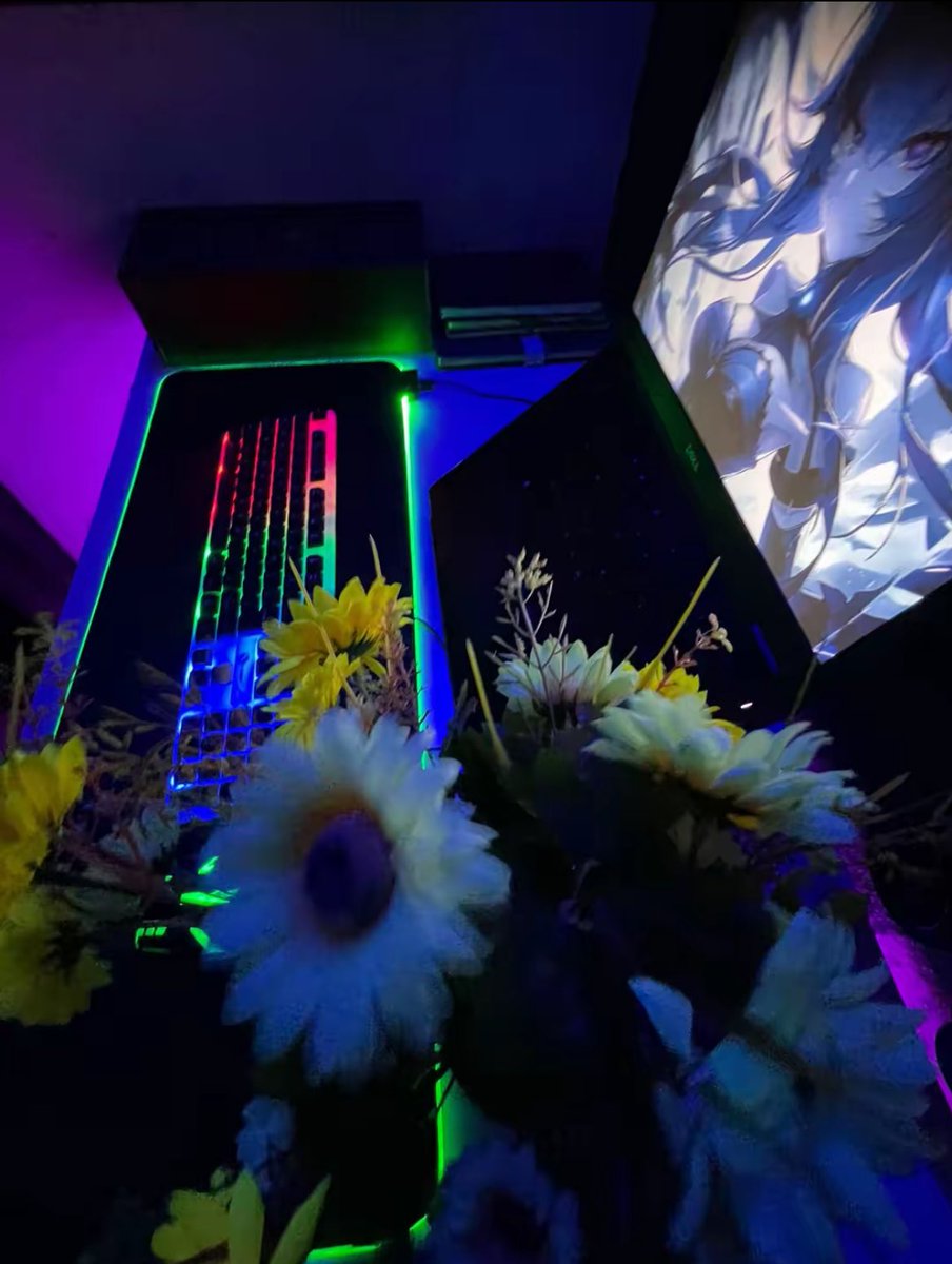 DEXTER 🦁 tweet media