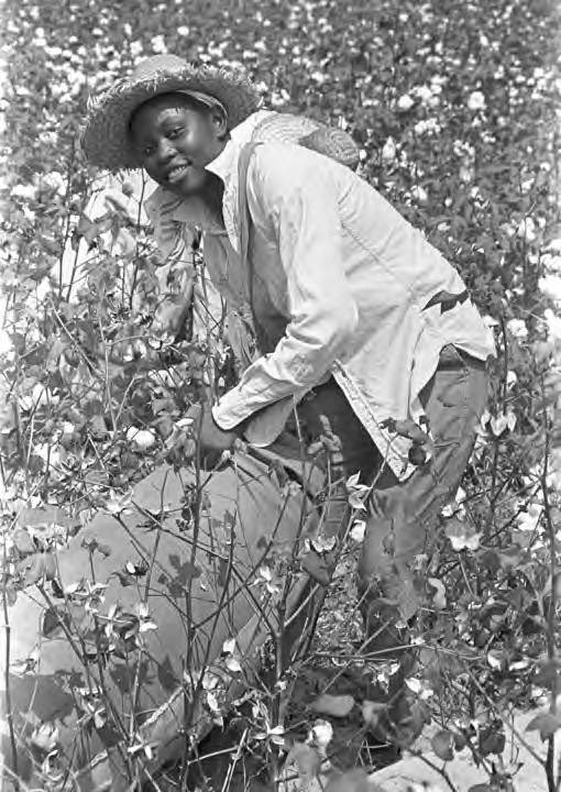 Sen. Beauregard Claghorn tweet media