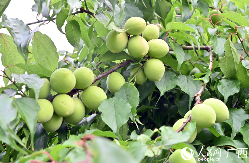 Beautiful China tweet media