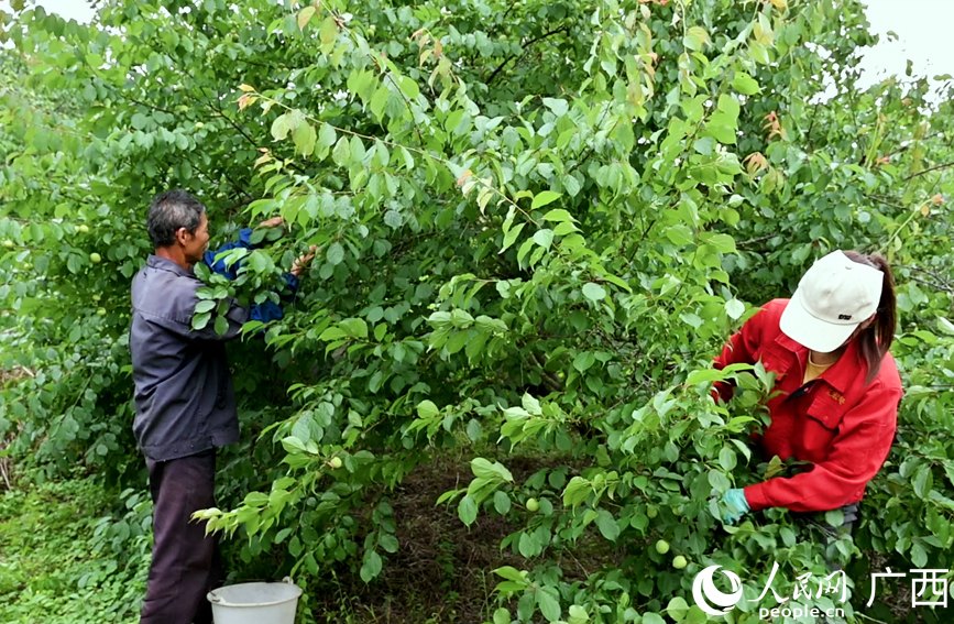 Beautiful China tweet media