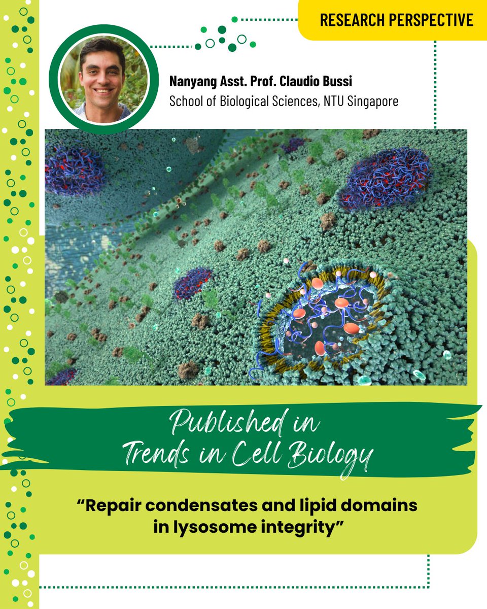 NTU School of Biological Sciences tweet media