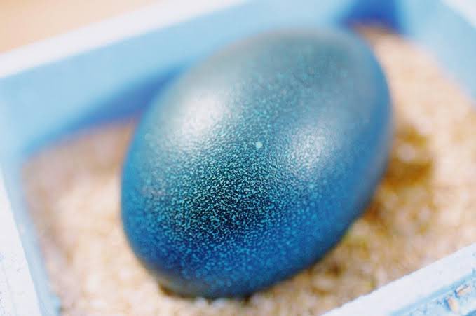 ちょこさん✨🫧 tweet media