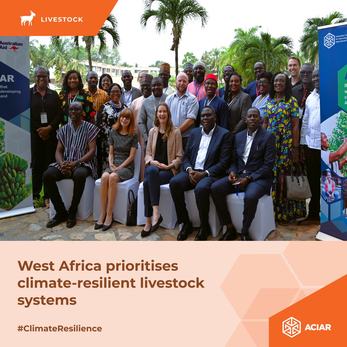 ACIARAustralia's tweet photo. At a recent #ACIAR-supported workshop, researchers, policymakers and development partners from West Africa and Australia discussed how they can improve livestock systems in response to mounting climate pressures.
Read more: https://t.co/uxiUrxeyus https://t.co/5O5Z8QHDRb