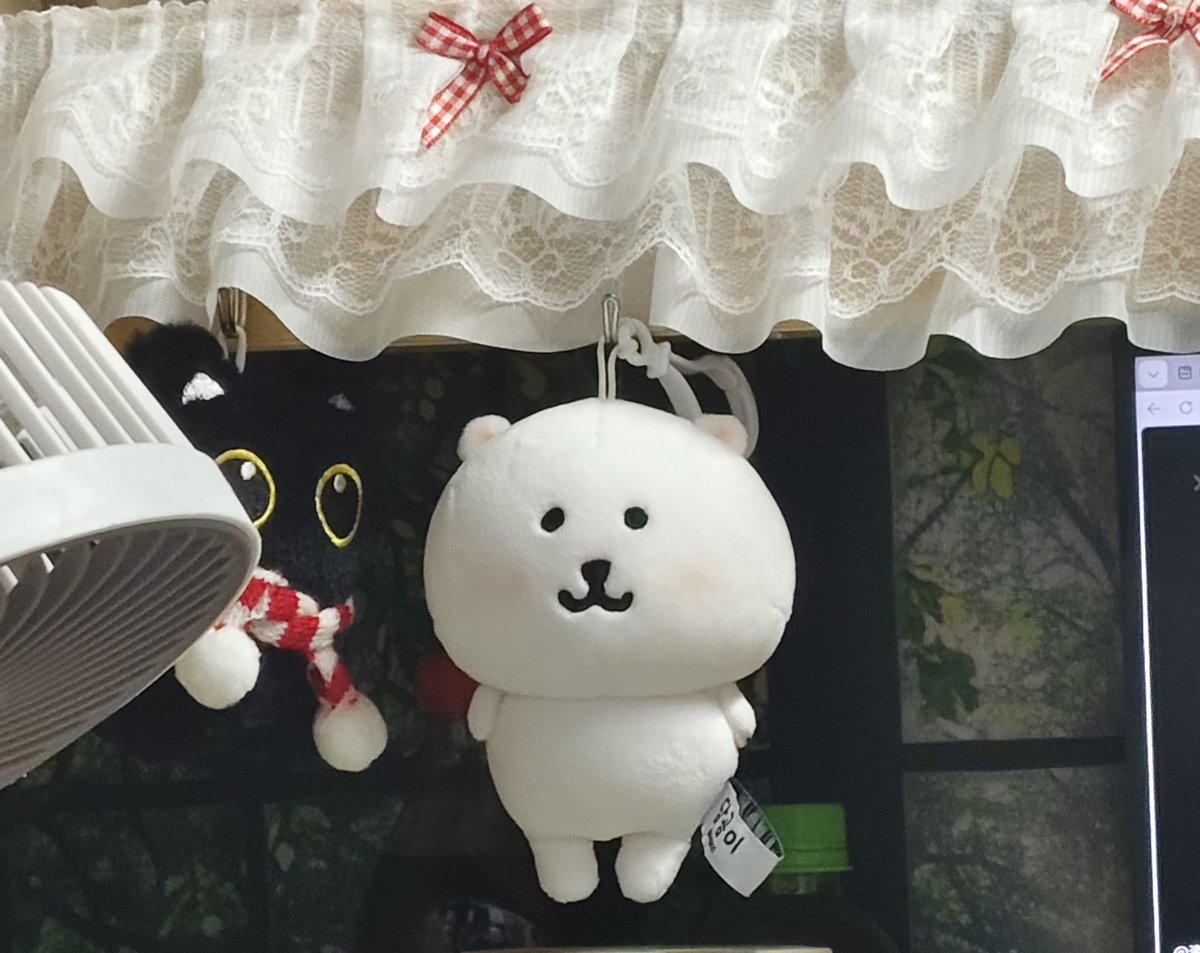 蹦蹦床🦴 tweet media