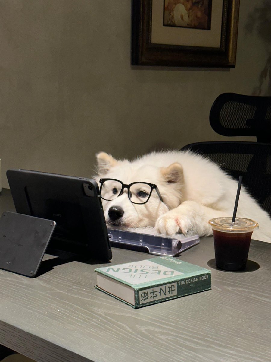 Banane Gun 🍌🔫 tweet media