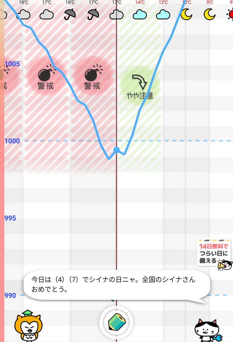 網野 環 tweet media