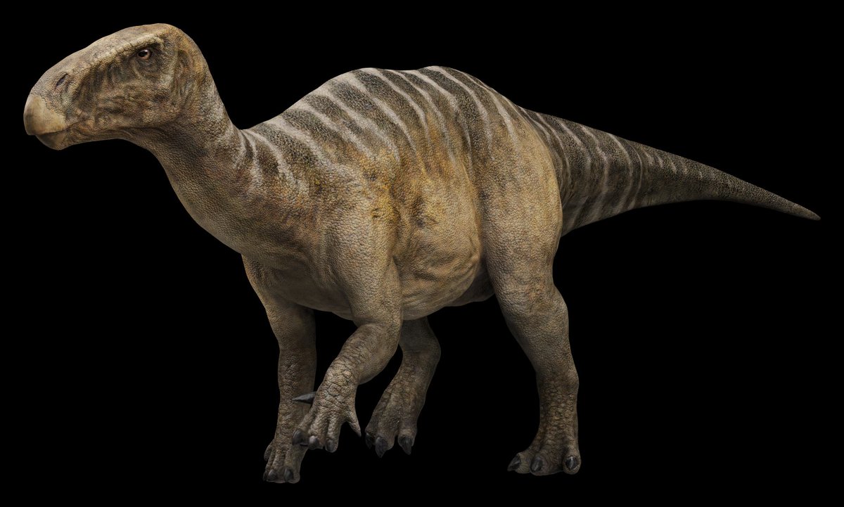 Flabbergasted tweet media