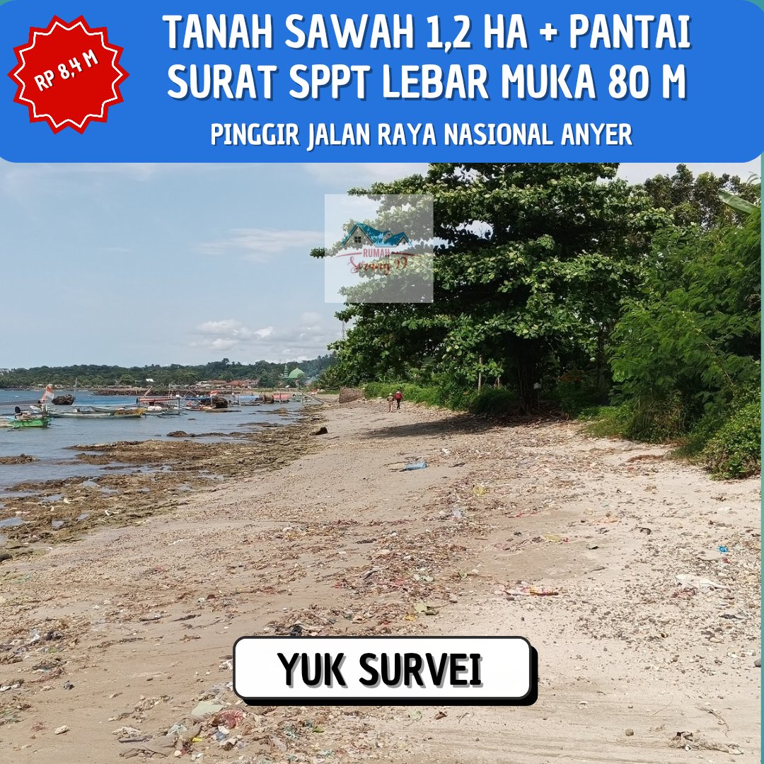 firjars99's tweet photo. TANAH SAWAH NEMPEL PANTAI PINGGIR JALAN RAYA ANYER. 

luas 1.2 ha. 
Surat sppt.
Harga 700rb/m.
Lebar depan 80 m. 
Lokasi Cinangka.
Cocok buat hotel, komplek villa, villa pribadi, dll. 

Fast respon wa 
087774807963 https://t.co/xXoNaBmzC1