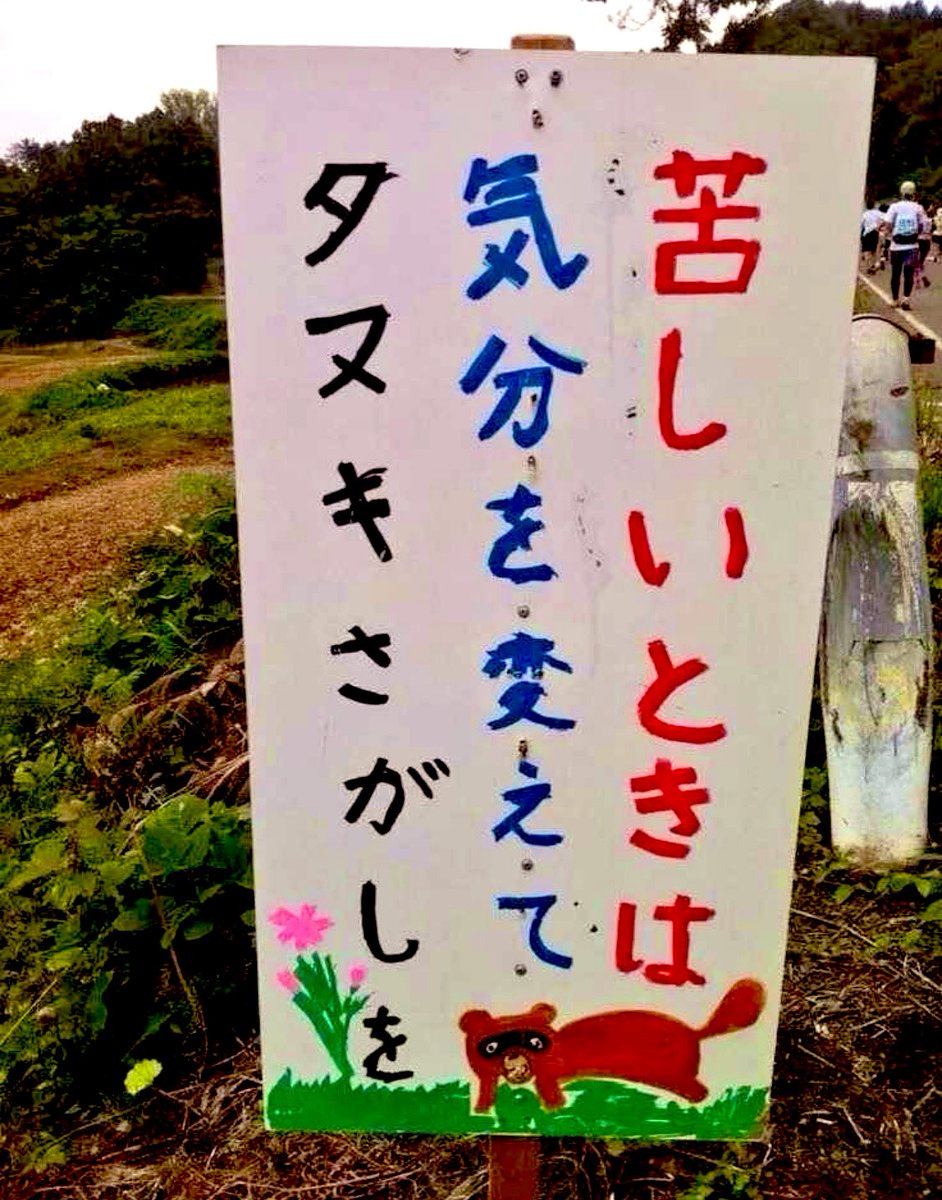 rumarinｸﾝ(乂'ω')ﾒﾀﾆｬﾛ~ tweet media