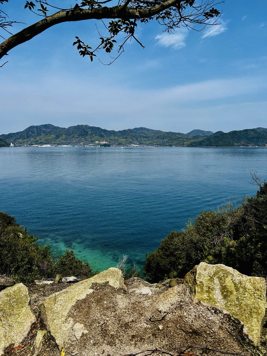 kareoria's tweet photo. うさぎ島〜 https://t.co/LojtI6Up6L