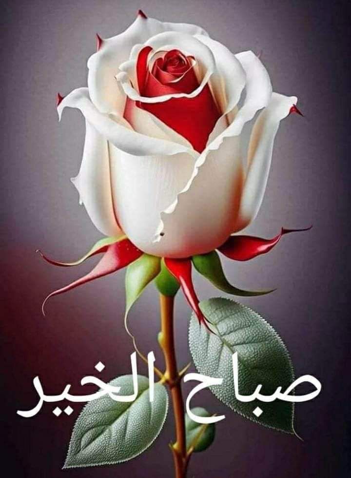 ABUAMMOON3's tweet photo. @EntsarNassar https://t.co/ElPMQvv4XM