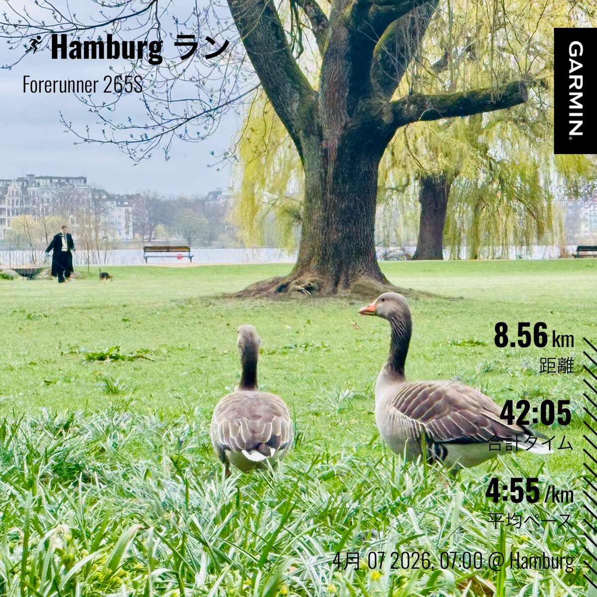 やどんらんなーSaeguSa🇩🇪@0412 パリ🇫🇷 tweet media