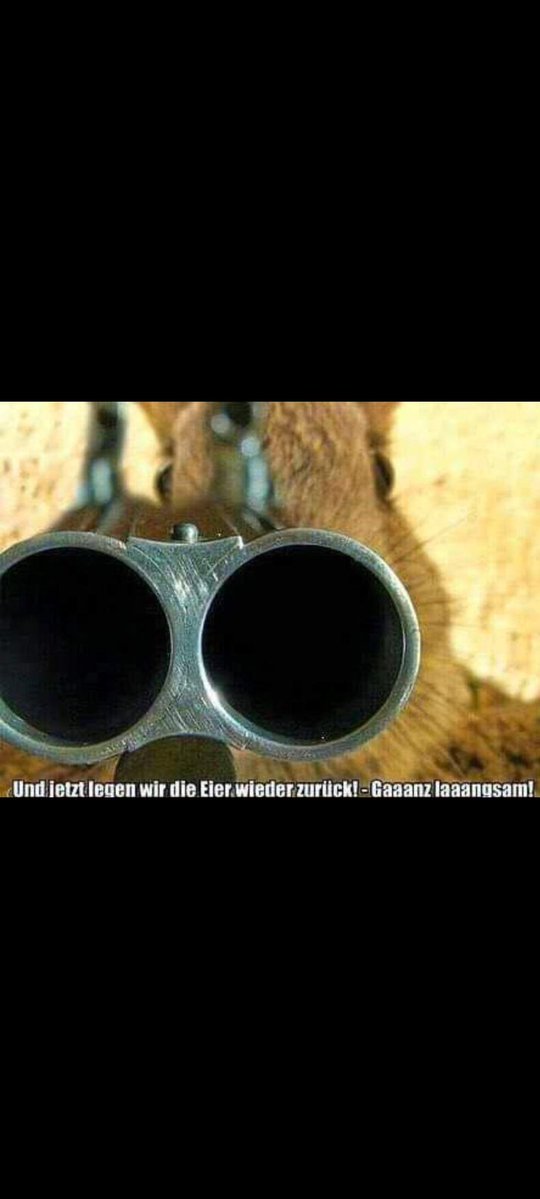 Harald der Harzer tweet media