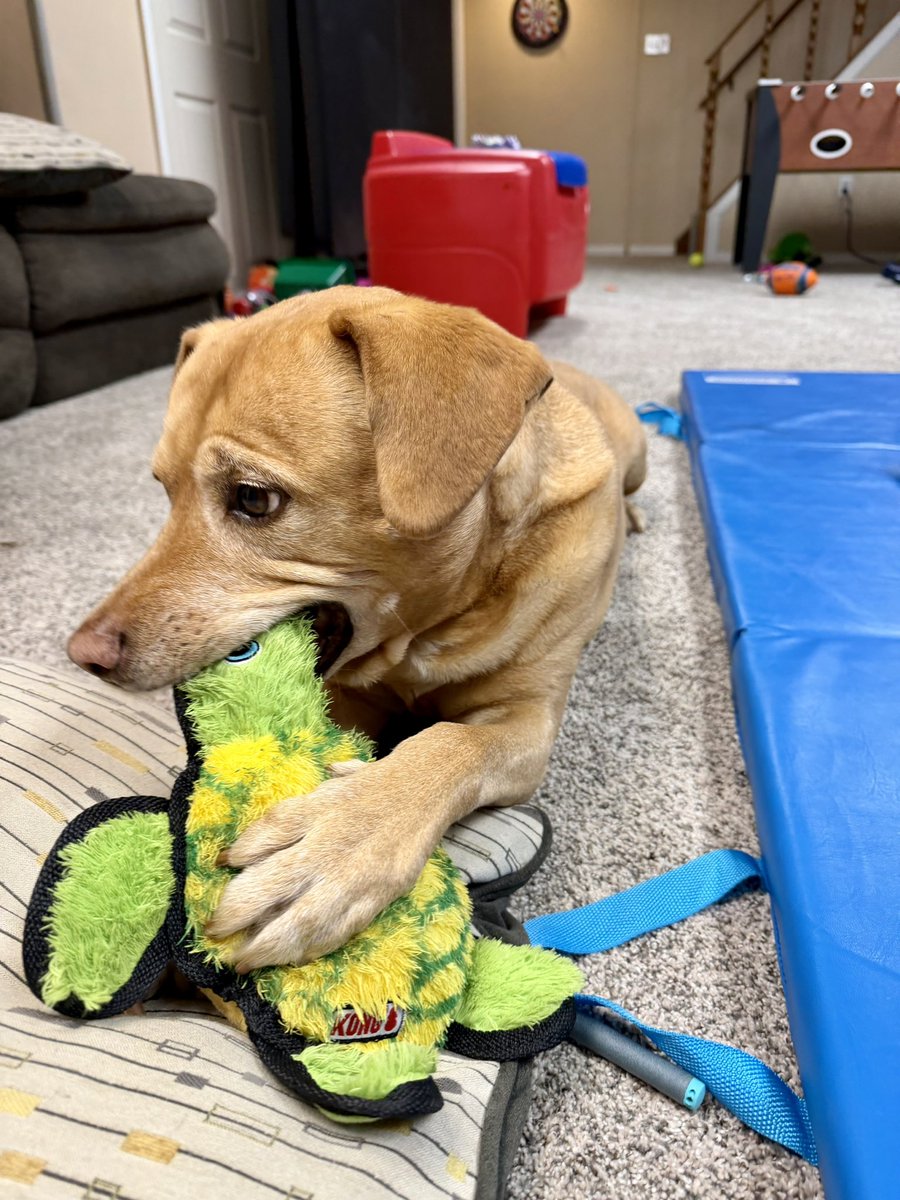 permit ip andy andy tweet media