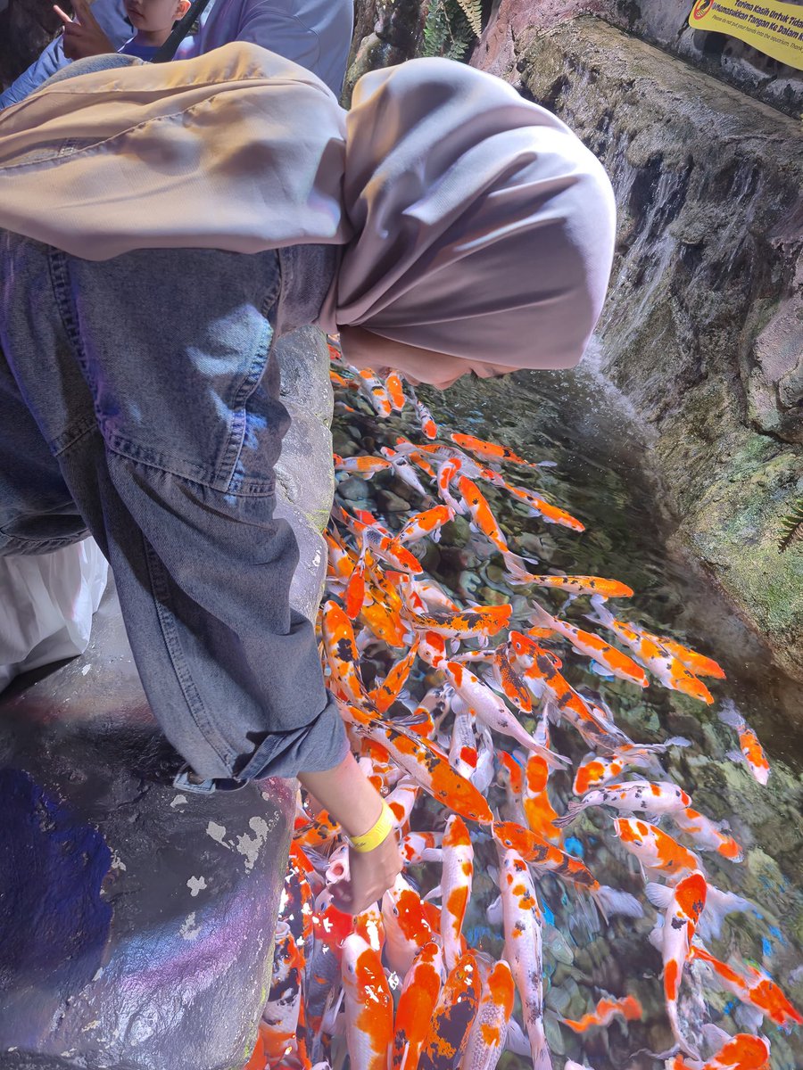 cherry🍒 tweet media