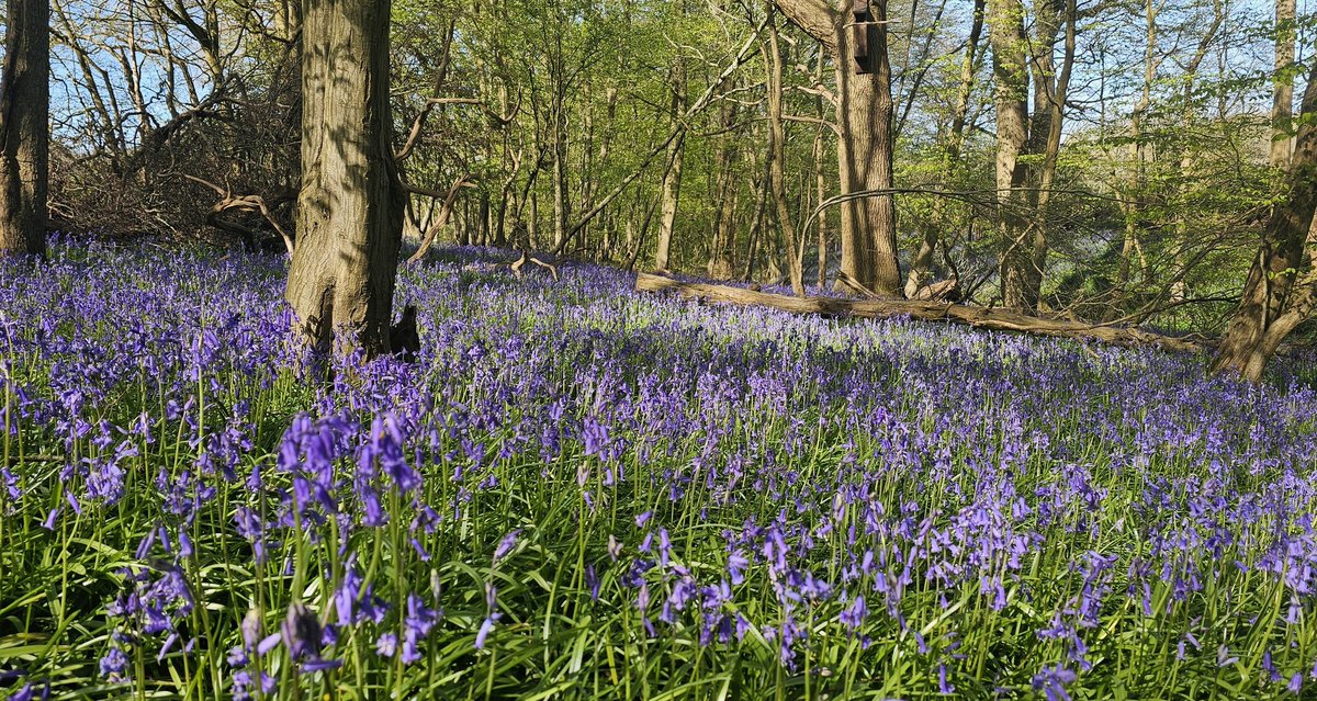 Andrew Wright tweet media