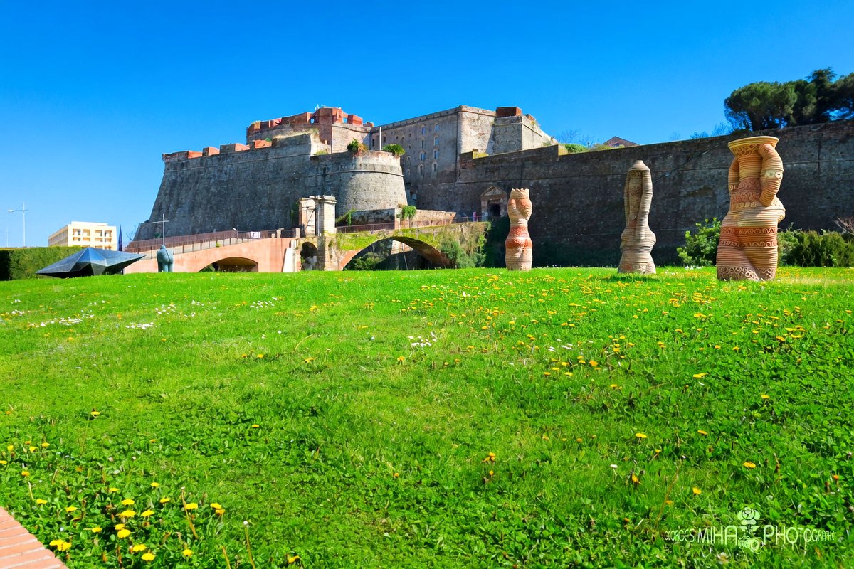 Georges MIHA tweet media