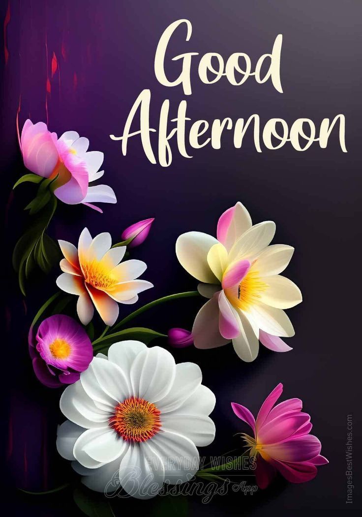 Good Afternoon X, 

May your Tuesday be filled with positive energy, productivity, and small wins that lead to big success.” ☀️✨

RT = RT