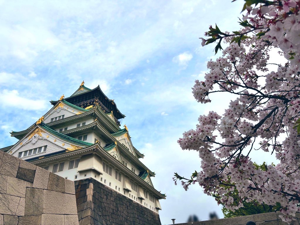 大阪城の桜まにあったー！！
周辺は入社式があったのか新入社員らしきスーツ姿が多く見られました☺️

春はおめでたい事が沢山で嬉しいですね！
新しい門出に乾杯✨🥂✨