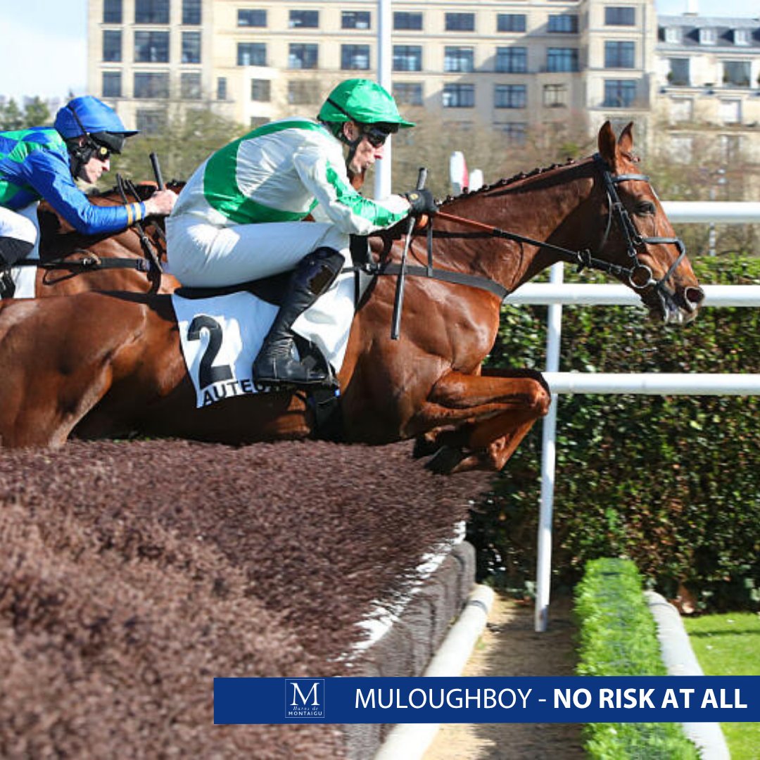 Haras de Montaigu tweet media