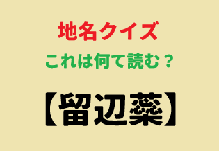 fortyRider@Ninja1000 tweet media