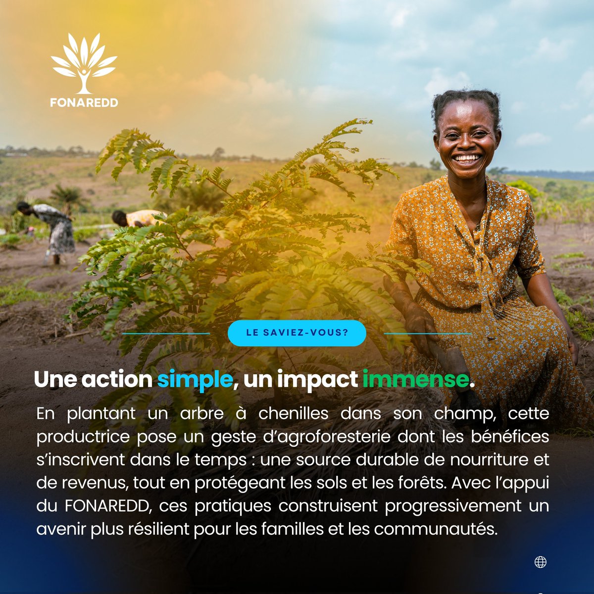 Fonaredd_RDC tweet media