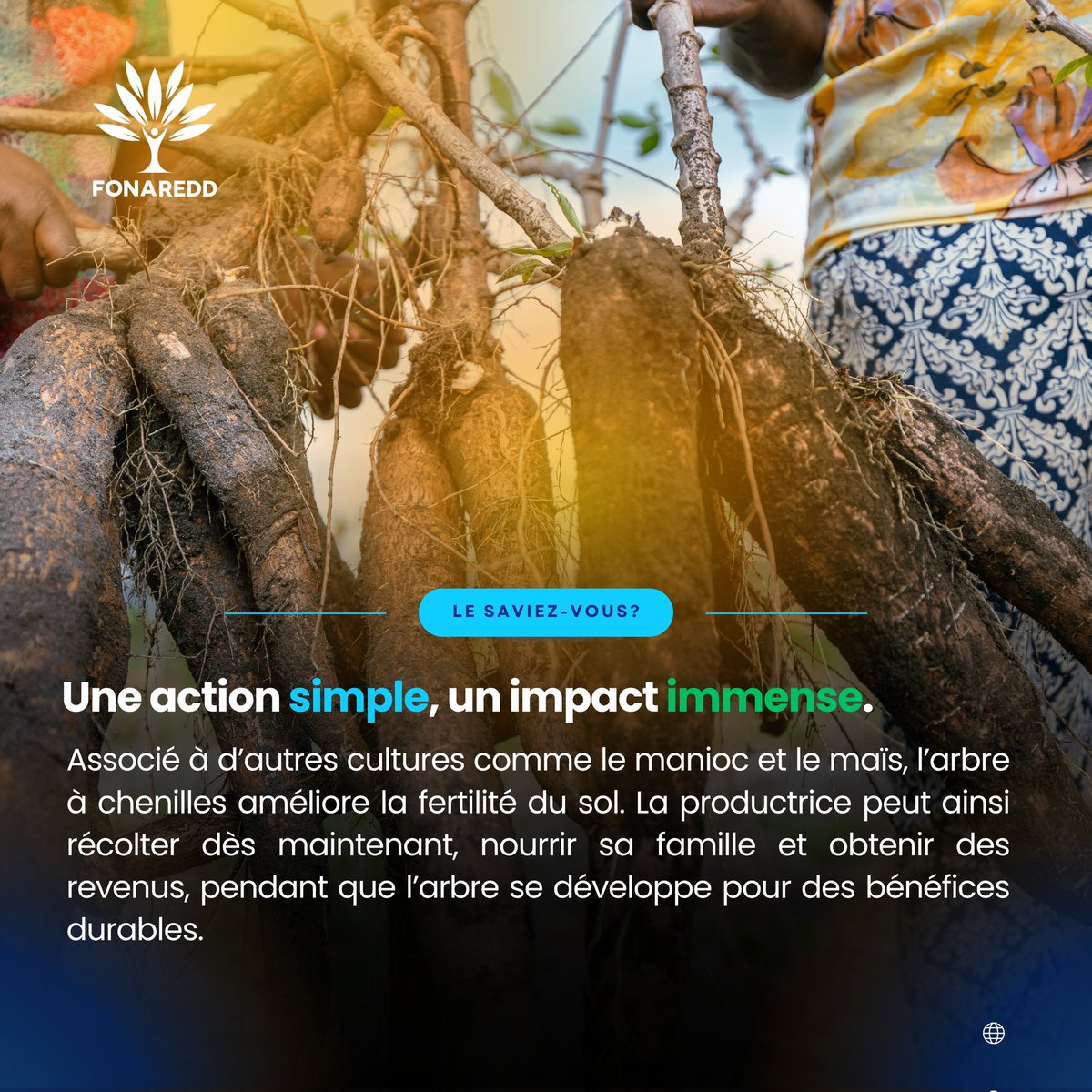 Fonaredd_RDC tweet media
